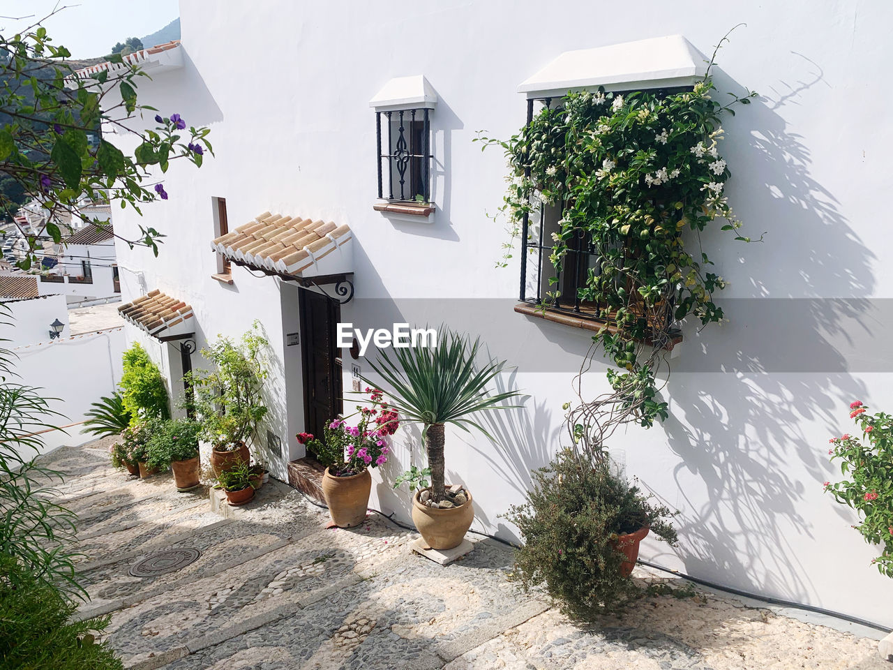 High angle view of potted plants outside building