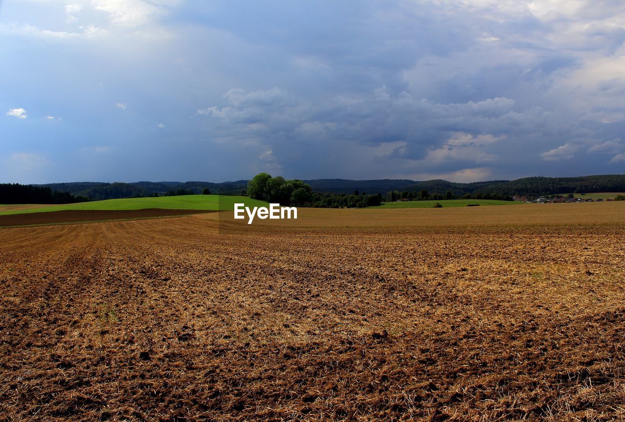 horizon, landscape, sky, field, environment, soil, cloud, agriculture, land, plain, nature, rural scene, rural area, plant, scenics - nature, crop, beauty in nature, no people, farm, grassland, prairie, grass, tranquility, hill, day, cereal plant, outdoors, growth, morning, food, sunlight, tranquil scene, food and drink, cloudscape, tree, plowed field