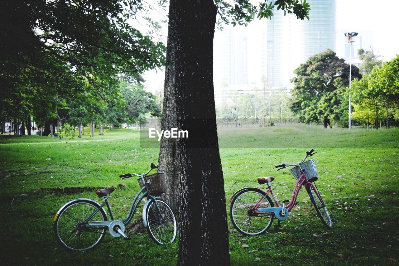 BICYCLES IN PARK