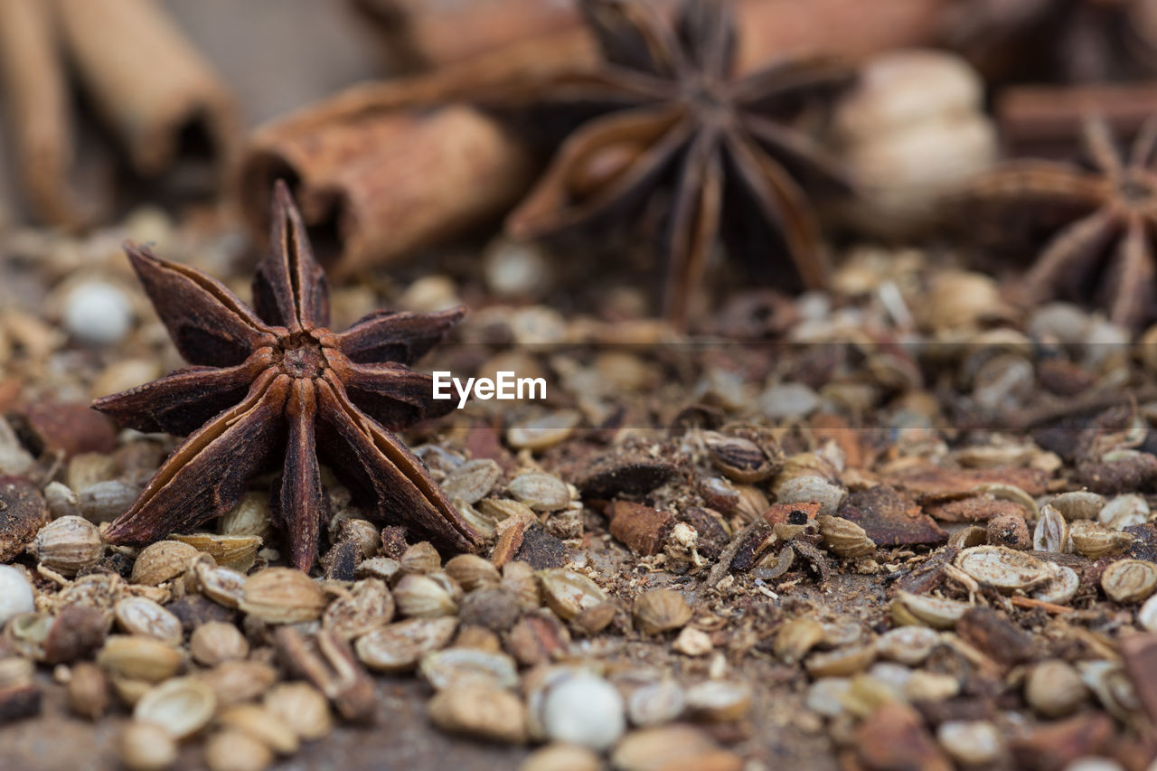 CLOSE-UP OF DRY LEAF ON STONES