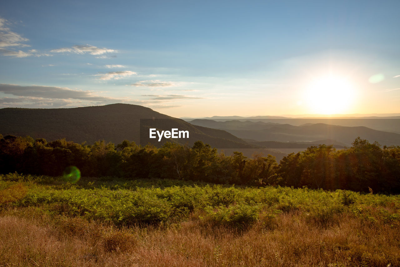 Scenic view of field against sky during sunset