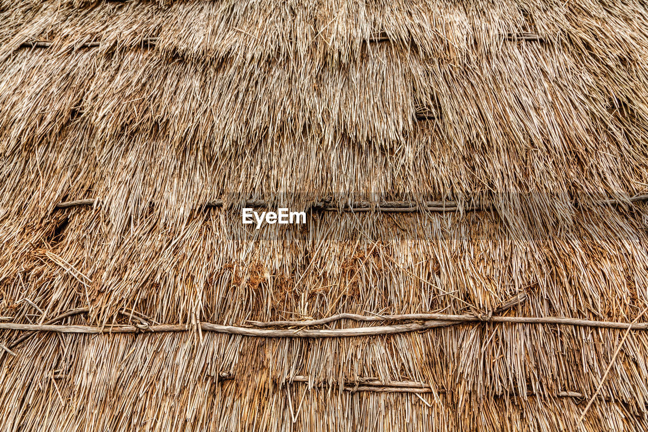 FULL FRAME SHOT OF WOOD PATTERN ON GROUND