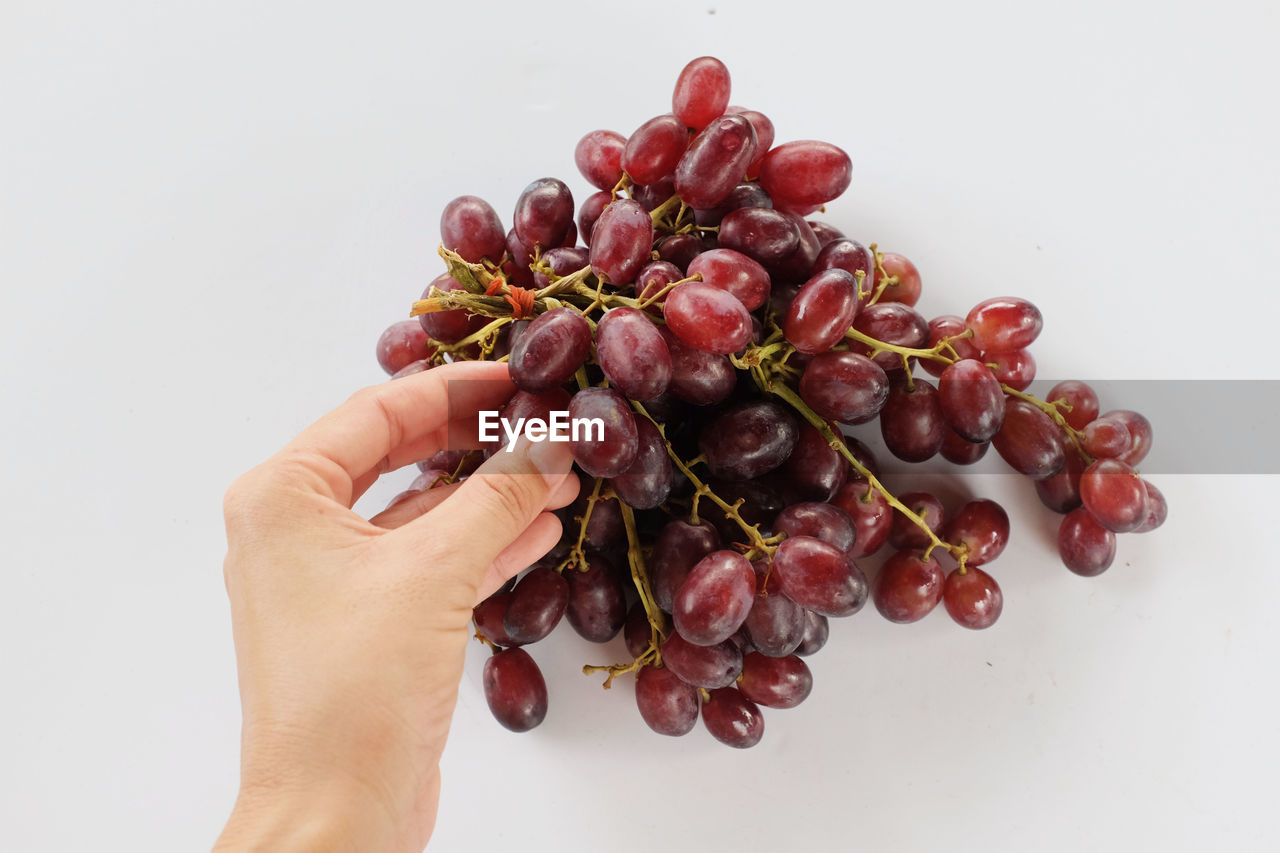 MIDSECTION OF PERSON HOLDING FRUITS