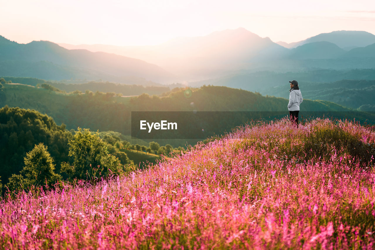 Man in pink meadow against mountains at sunrise