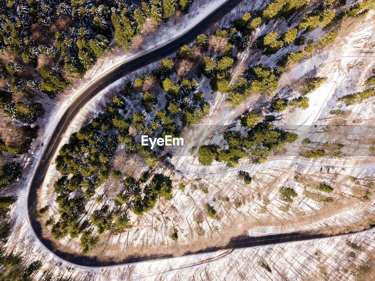 High angle view of trees by road