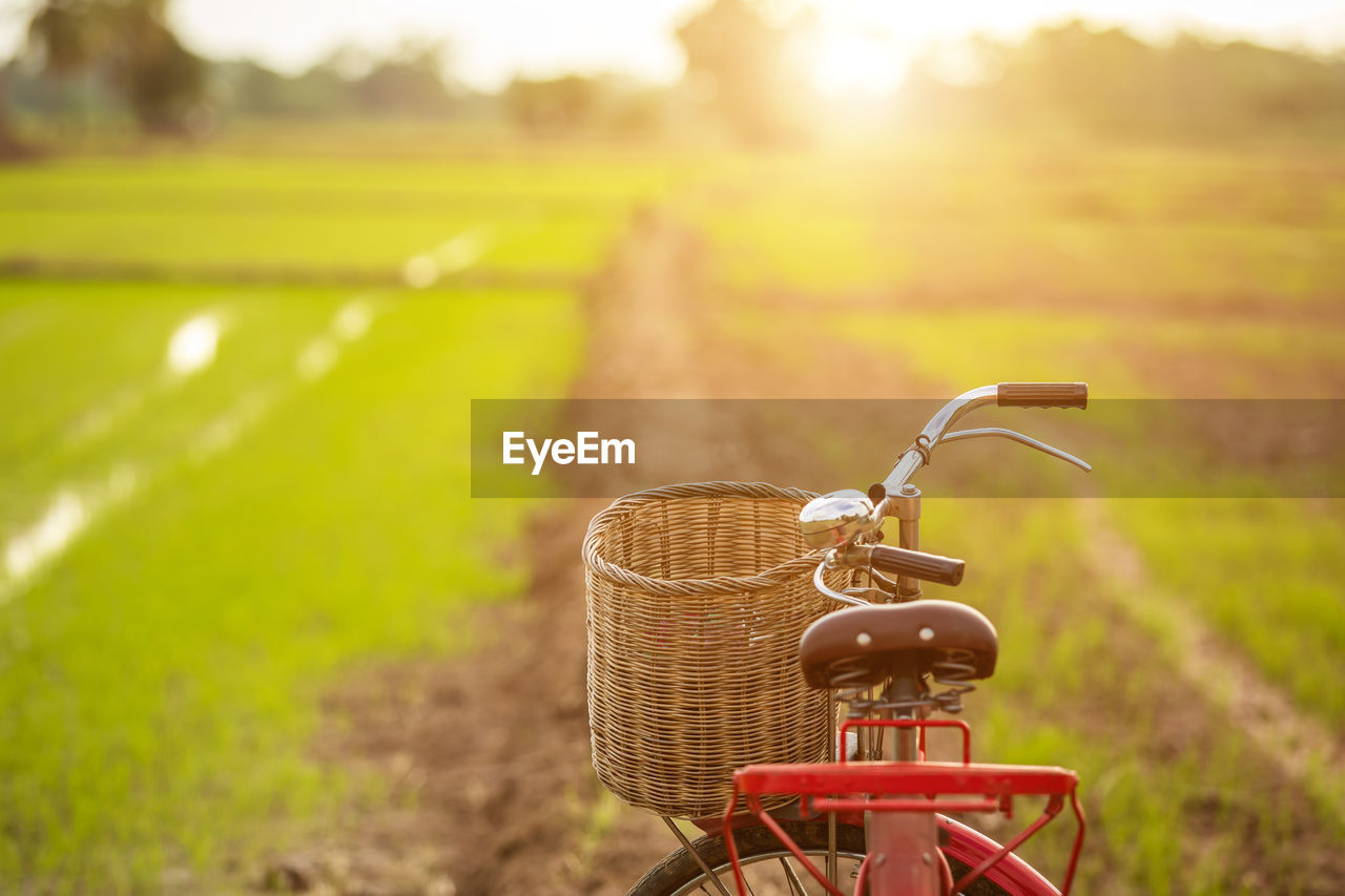 BICYCLE LEANING ON FIELD