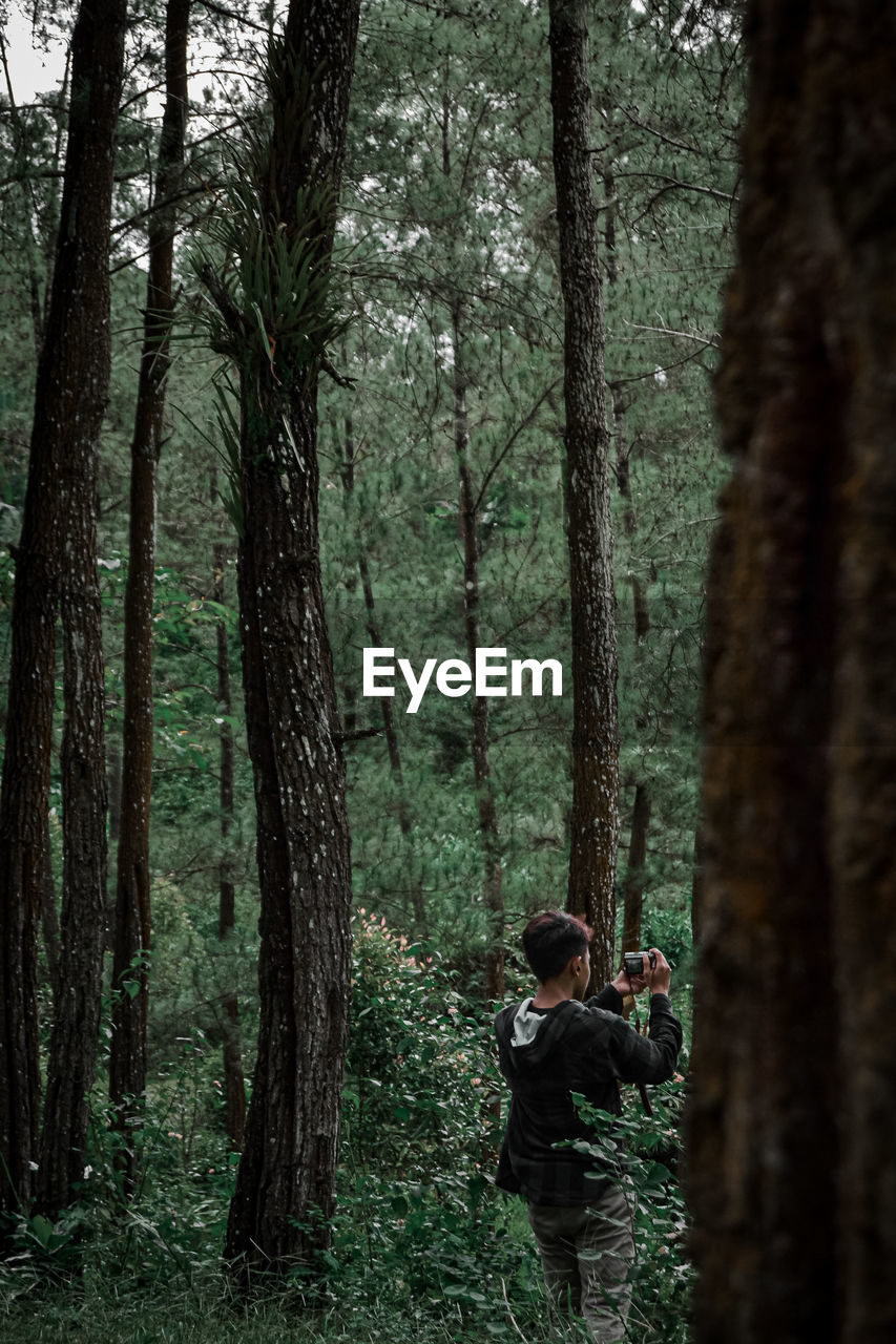 In the lush forest, you can see a man standing next to a tree taking a picture 