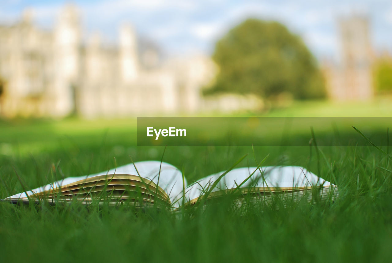 Open book on grassy field