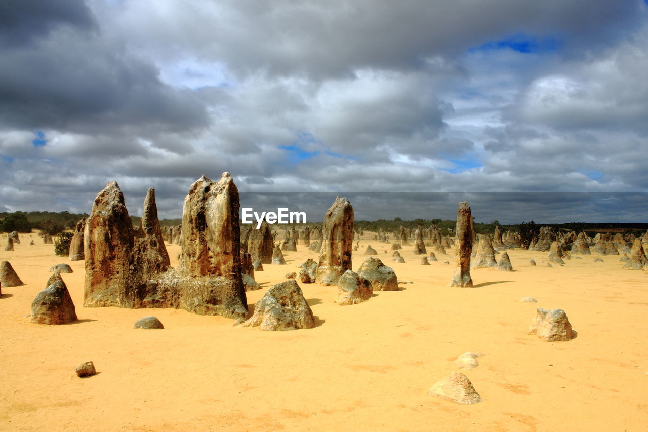 Panoramic view of beach