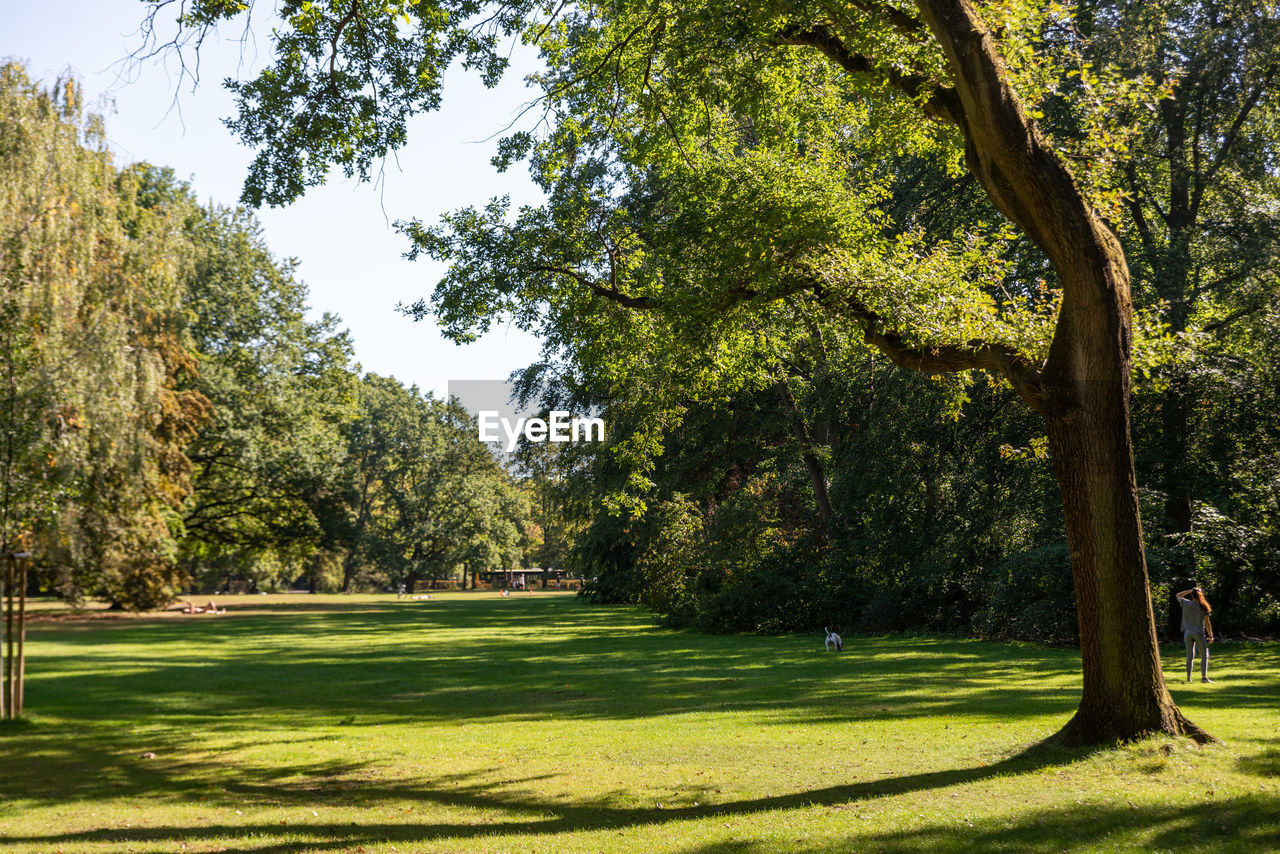 SCENIC VIEW OF PARK AGAINST SKY