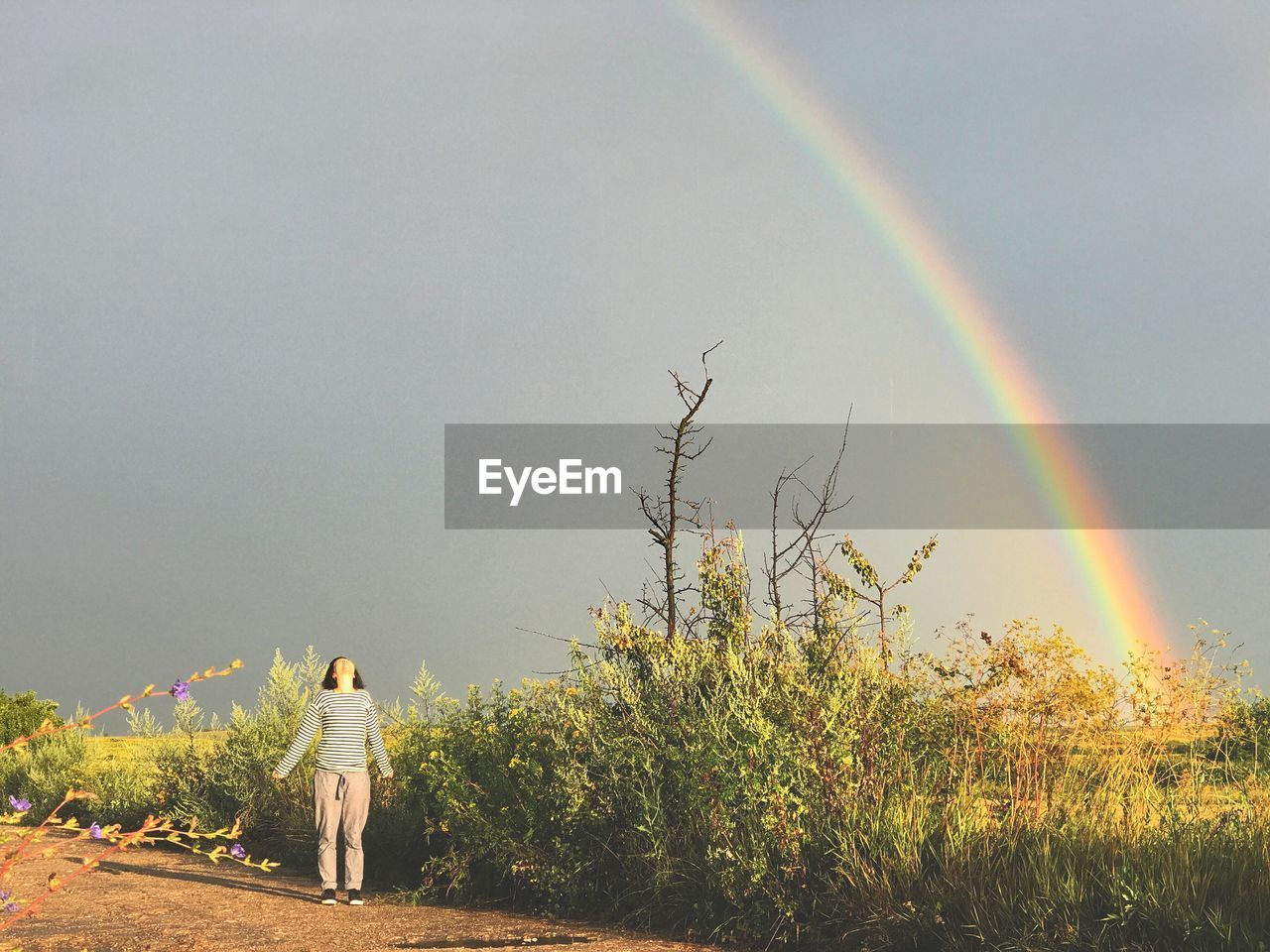 Woman looking at rainbow while standing on field against clear sky