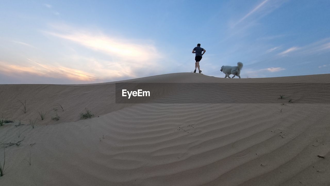 Rear view of man amd dog walking on sand at desert