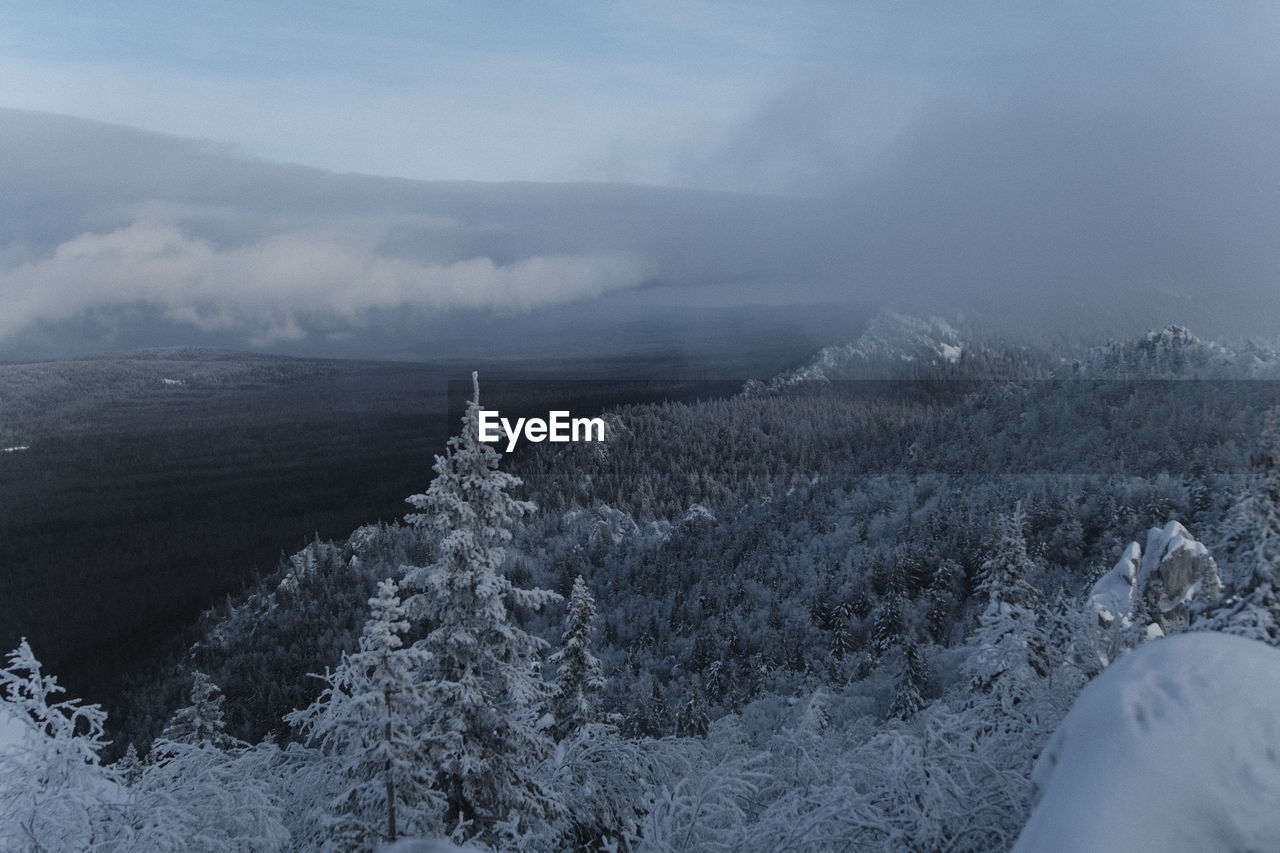 winter, snow, cold temperature, environment, mountain, landscape, scenics - nature, mountain range, beauty in nature, tree, nature, fog, cloud, plant, sky, land, ridge, forest, coniferous tree, tranquility, no people, non-urban scene, tranquil scene, pinaceae, pine tree, travel destinations, frozen, travel, outdoors, tourism, summit, pine woodland, wilderness, day, freezing, ice, snowcapped mountain, woodland, panoramic