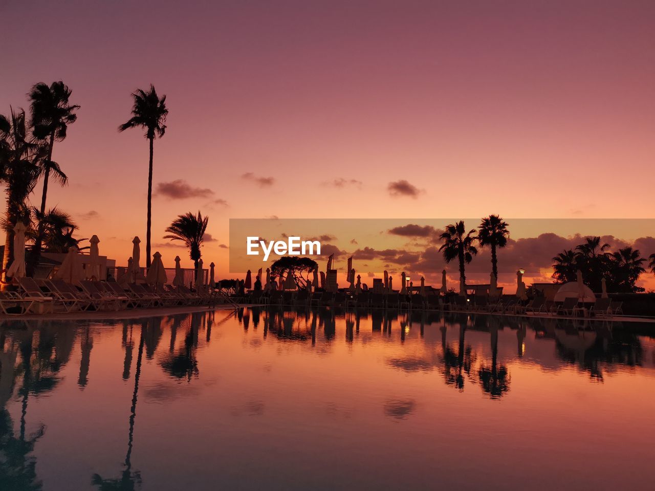 Silhouette palm trees by swimming pool against sky during sunset