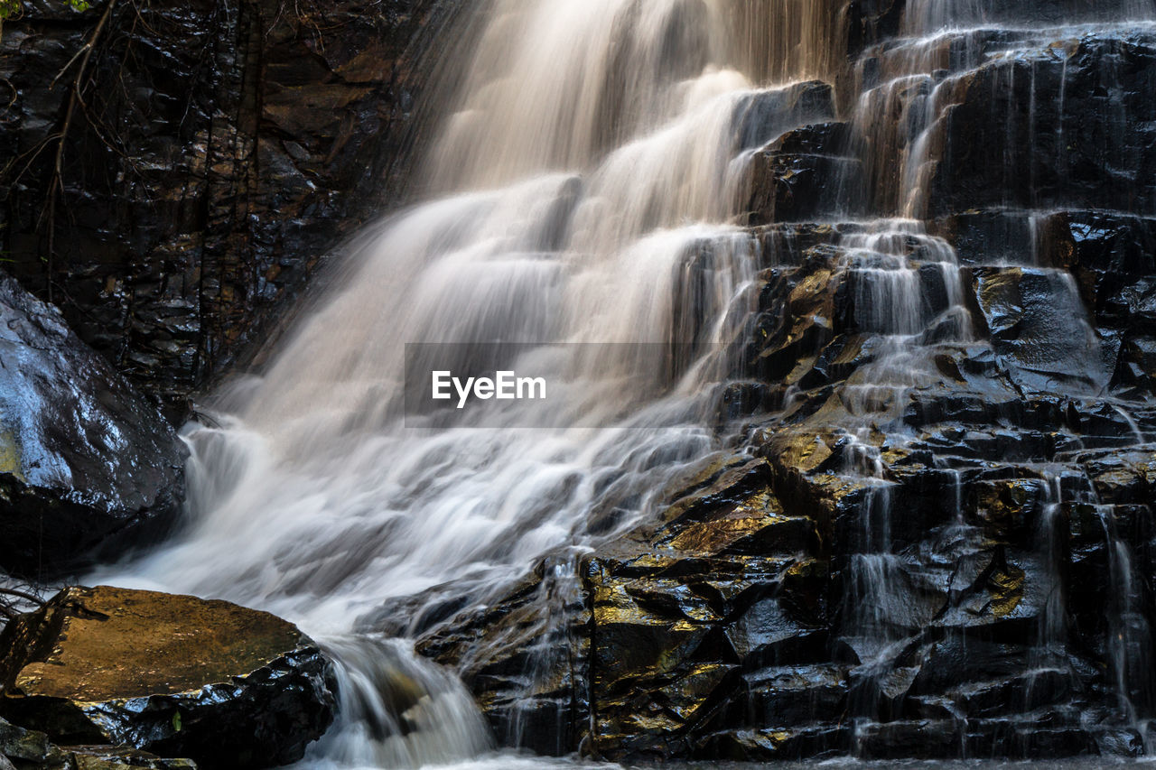 WATERFALL IN FOREST