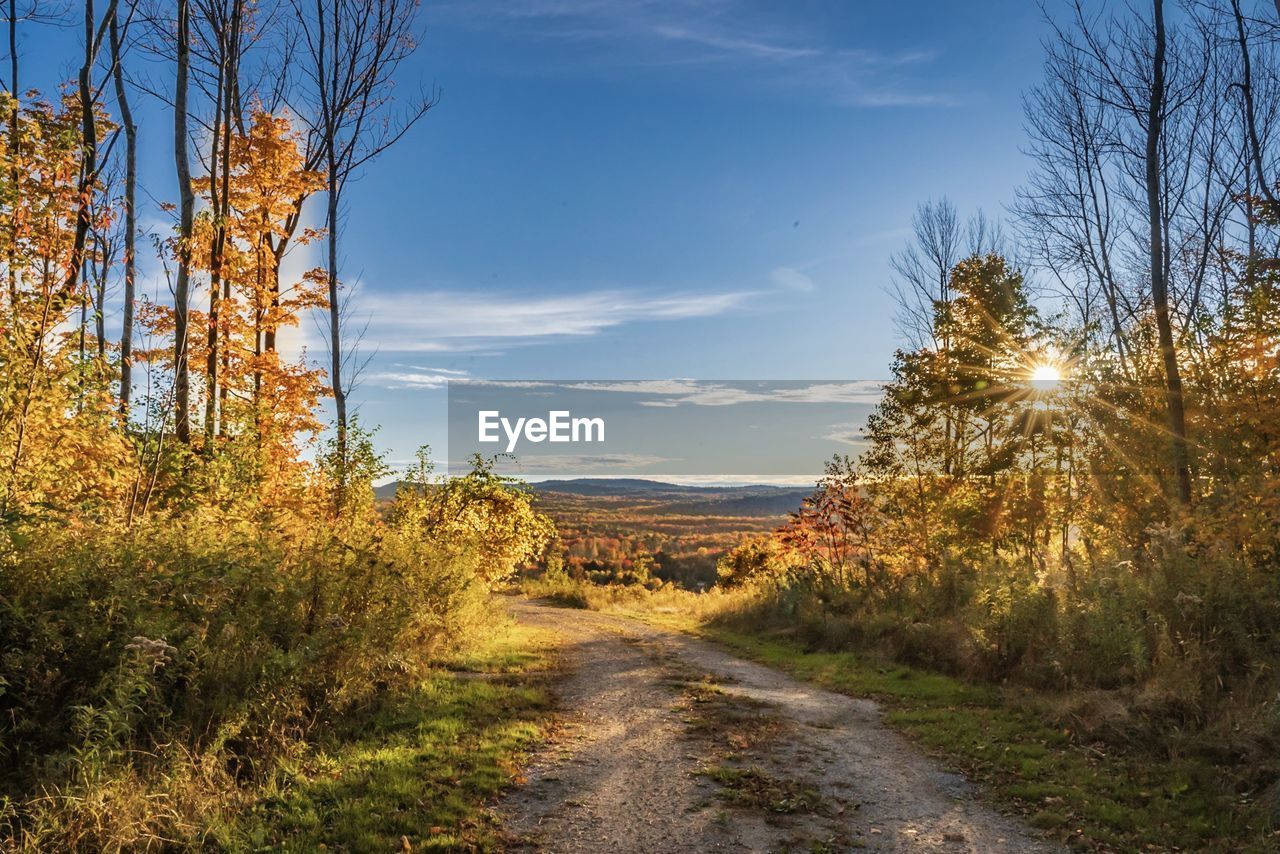 Dirt road amidst trees against sky during autumn