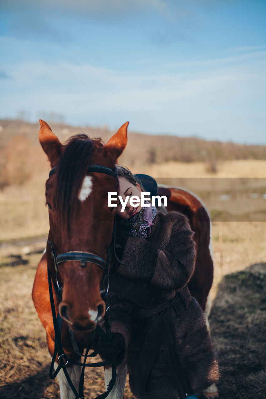 Horse in a field