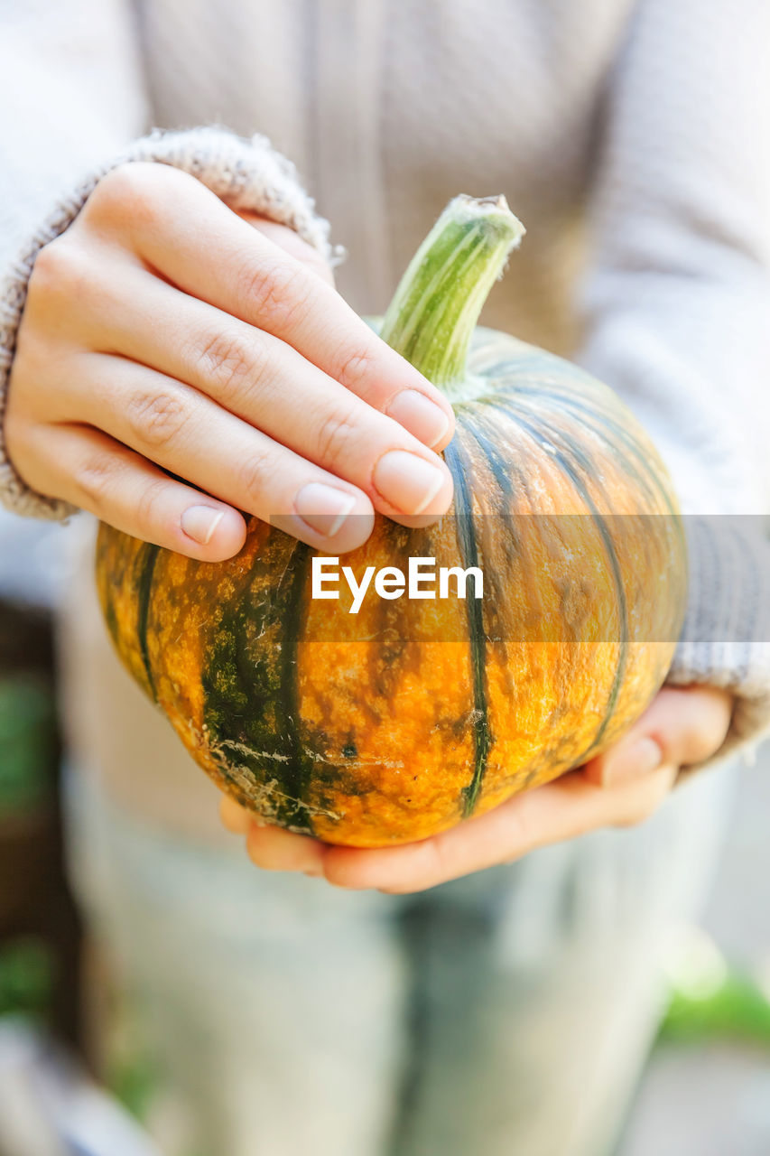 cropped hand of woman holding pumpkin