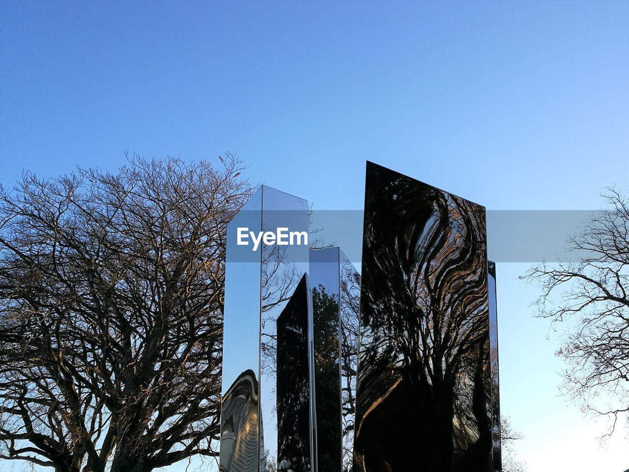 LOW ANGLE VIEW OF BARE TREES AGAINST SKY