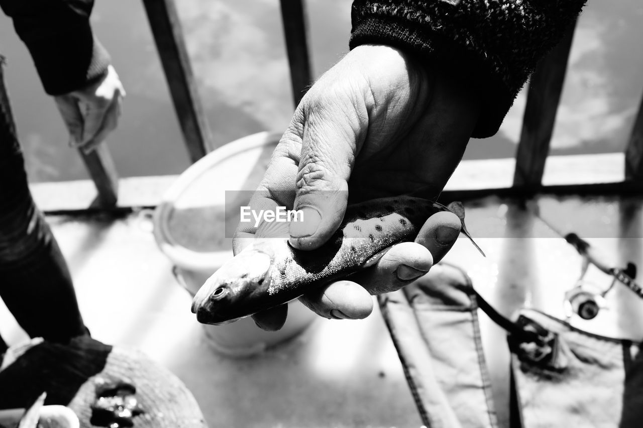 Fisherman holding dead fish in hand