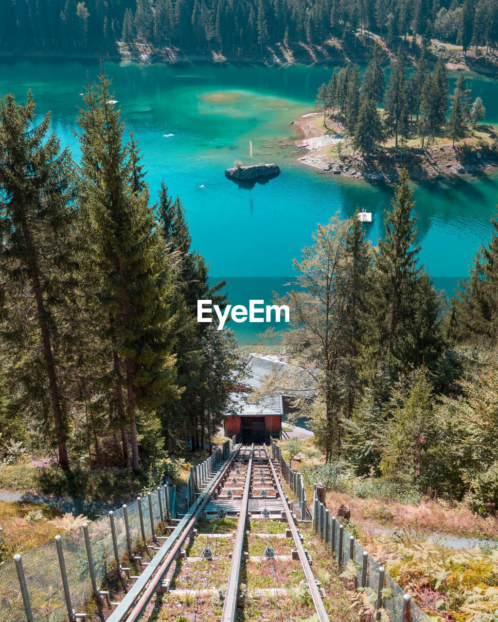 High angle view of railroad tracks by trees