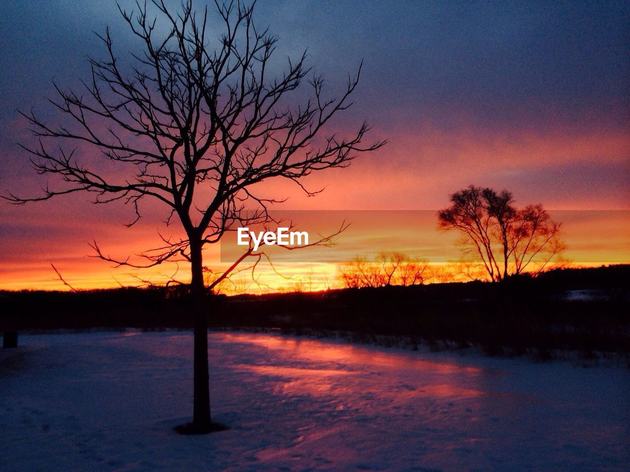 SILHOUETTE TREES BY SEA AGAINST SKY DURING SUNSET