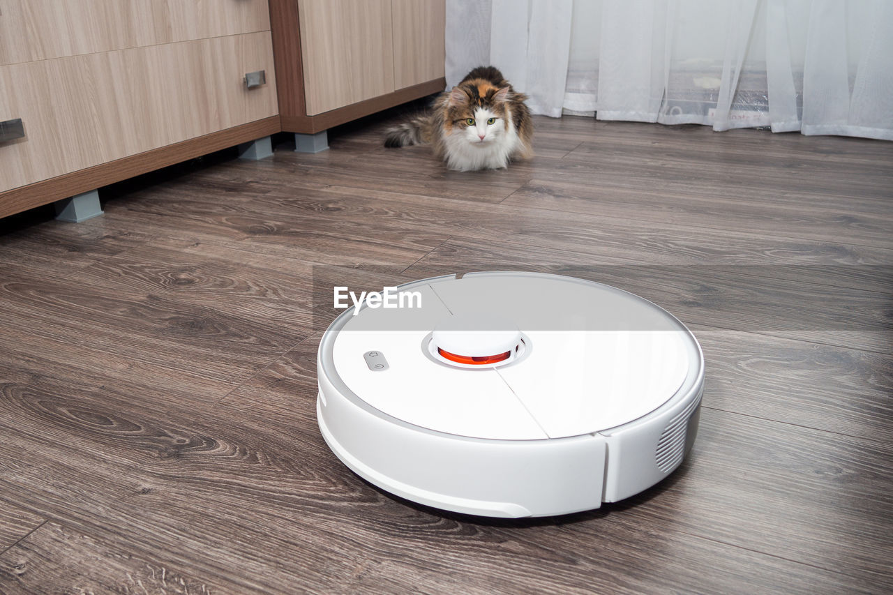 A white vacuum cleaner robot and a fluffy cat on a laminated wooden floor. 