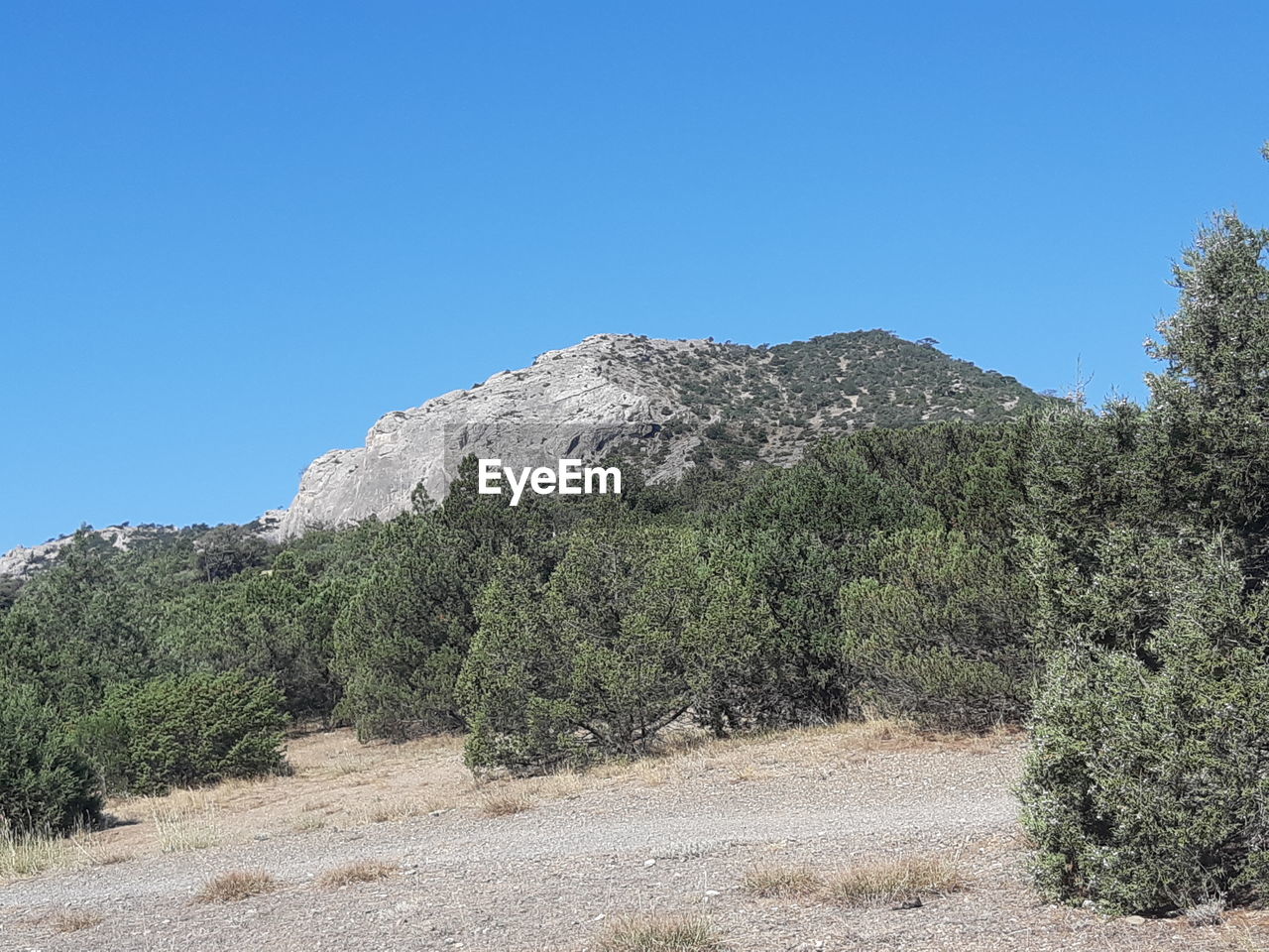 SCENIC VIEW OF LAND AGAINST CLEAR SKY