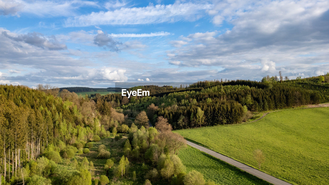 plant, landscape, sky, environment, cloud, land, scenics - nature, tree, nature, beauty in nature, hill, field, green, grass, rural scene, no people, rural area, tranquility, agriculture, growth, meadow, tranquil scene, non-urban scene, outdoors, mountain range, valley, forest, travel, panoramic, day, pine tree, coniferous tree, travel destinations, crop, plateau, pinaceae, food and drink, farm, environmental conservation, blue, natural environment, summer, idyllic