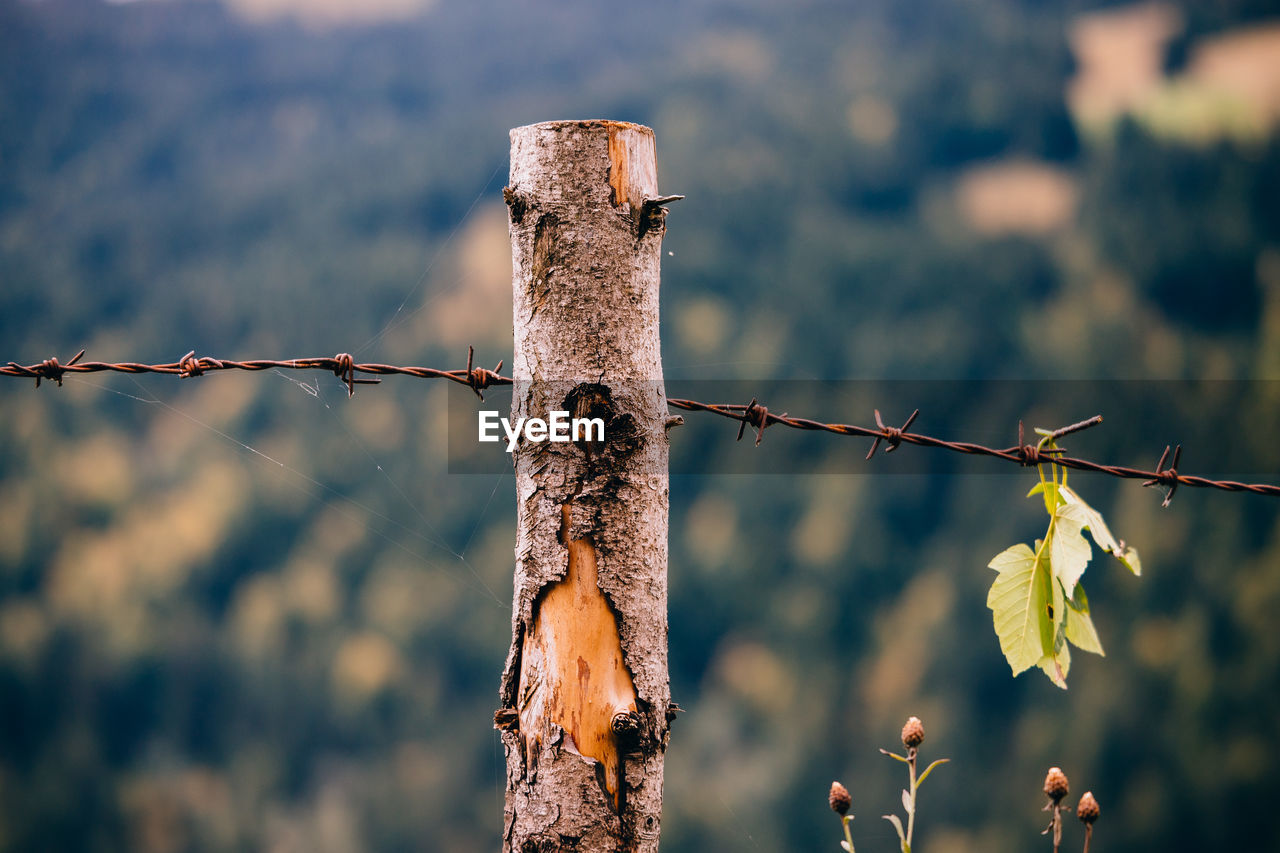 Close-up of barbed wire fence on field