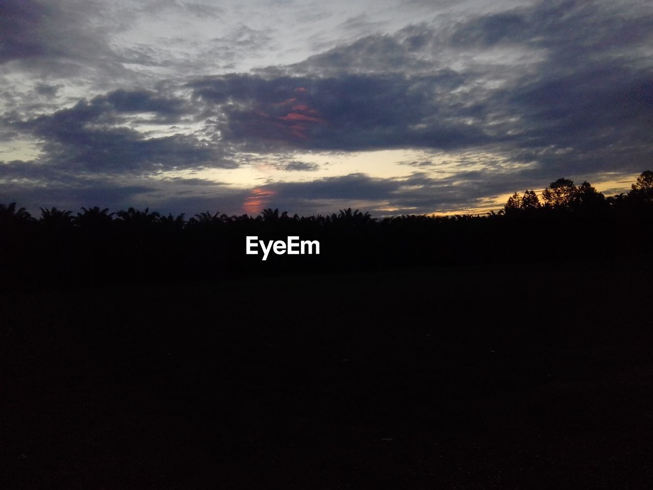 SILHOUETTE TREES ON FIELD AGAINST SKY