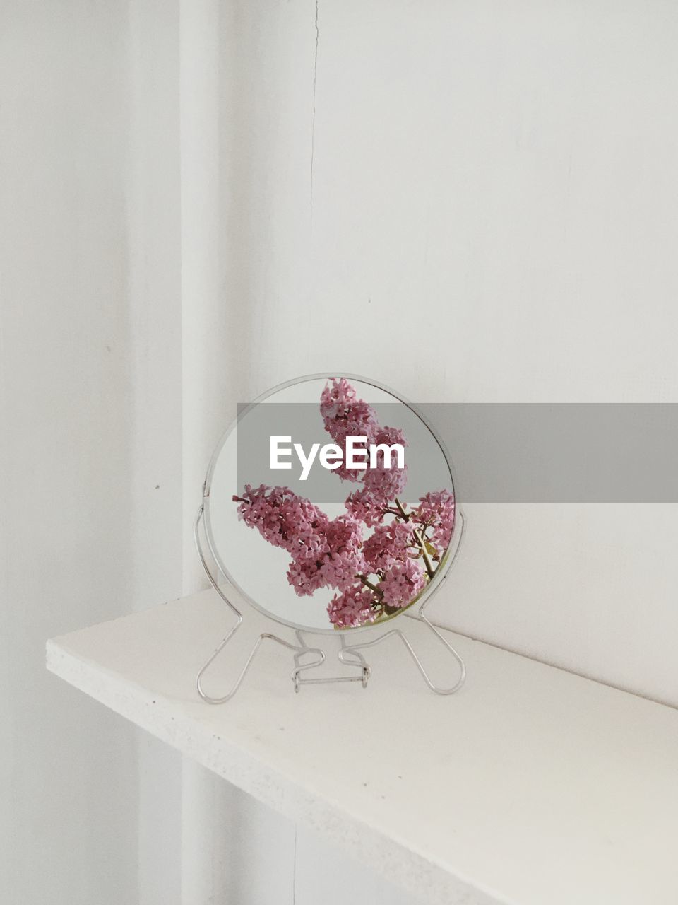 Close-up of flowers reflecting in mirror