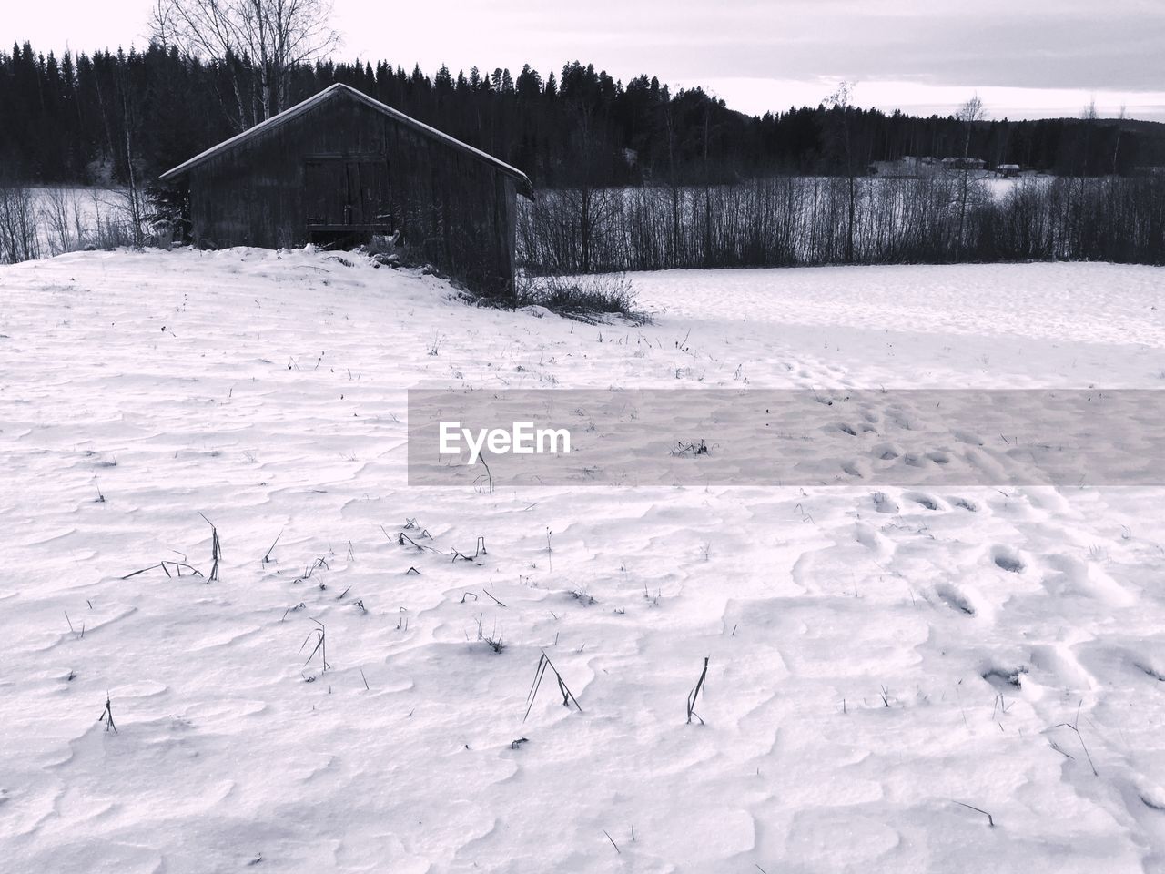 SCENIC VIEW OF SNOW COVERED LANDSCAPE