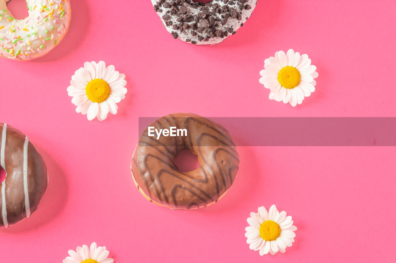 flower, colored background, food and drink, flowering plant, food, studio shot, pink, directly above, freshness, plant, no people, petal, indoors, sweet food, pink background, variation, sweet, knolling - concept, high angle view, multi colored, still life, nature, beauty in nature, baked, group of objects