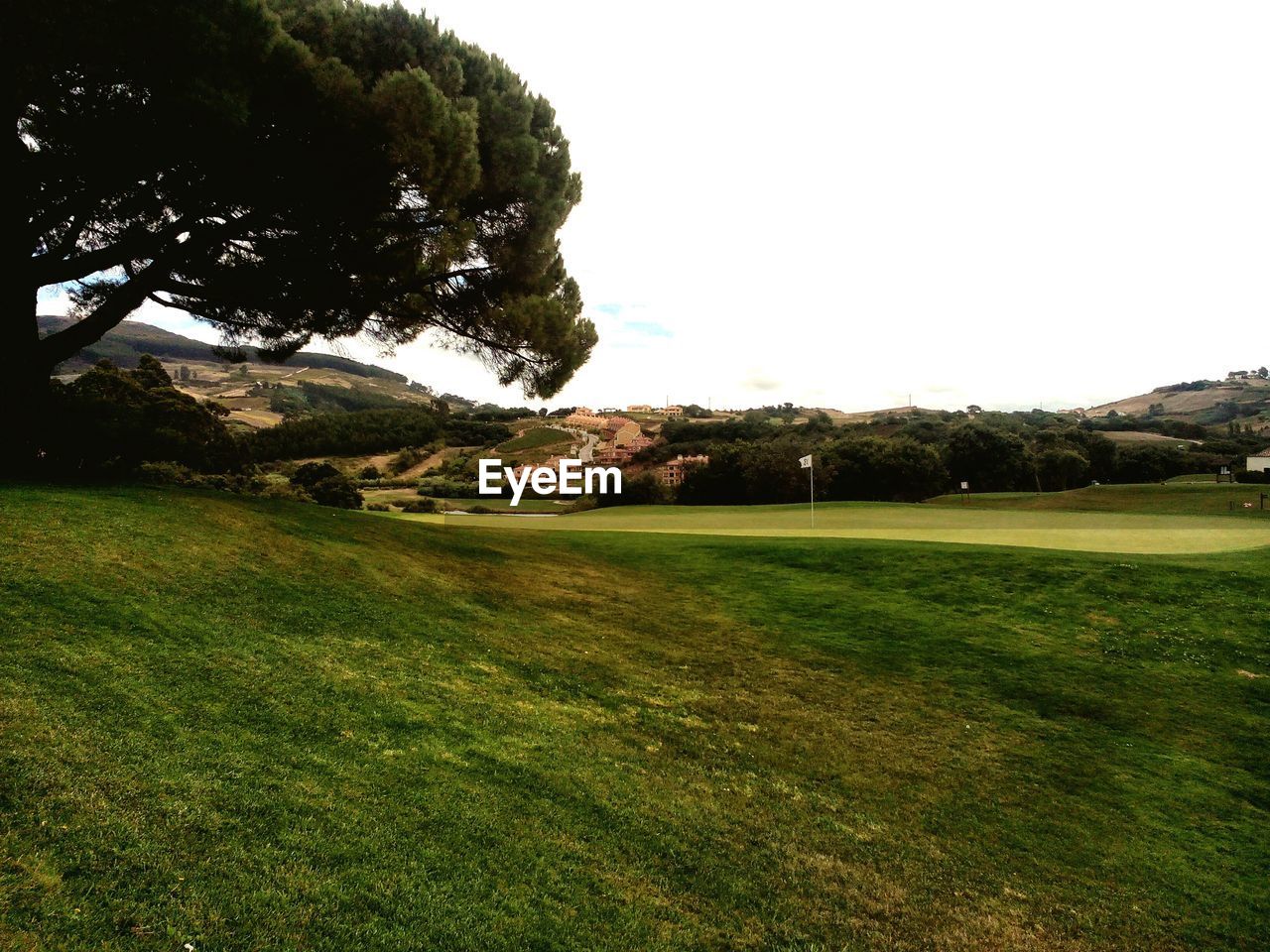 Scenic view of golf field against clear sky