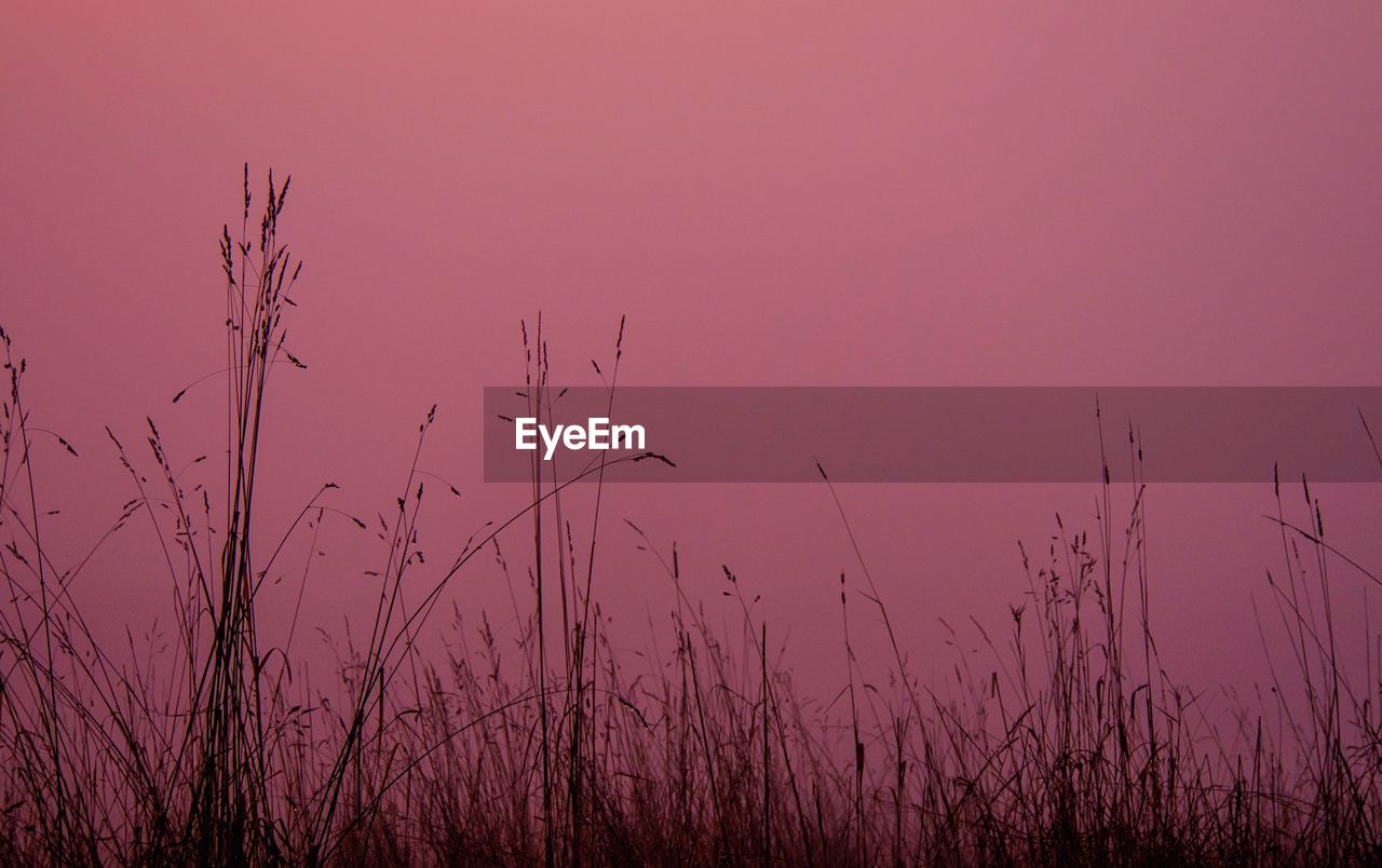 Scenic view of landscape against sky at sunset