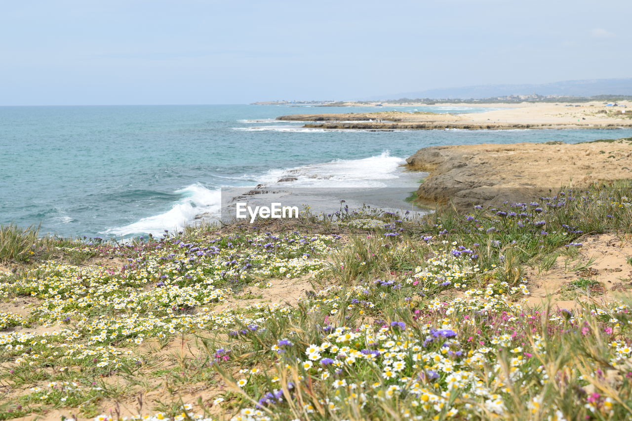 Scenic view of sea against clear sky