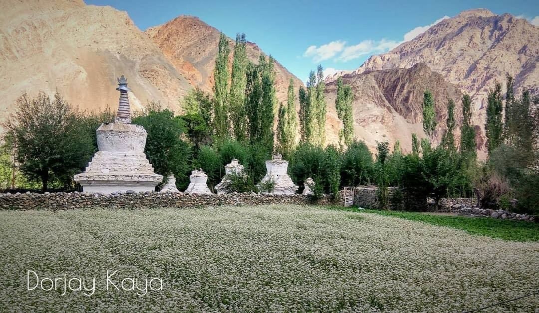 plant, mountain, nature, travel destinations, landscape, sky, religion, travel, scenics - nature, environment, architecture, no people, belief, spirituality, tree, land, beauty in nature, tourism, history, mountain range, sculpture, built structure, building, the past, flower, outdoors, panoramic, valley, day, tranquility, place of worship, statue, clear sky, blue, sunny, temple - building, ancient, tranquil scene, human representation, grass