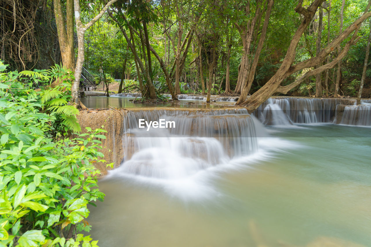 water, tree, plant, waterfall, beauty in nature, scenics - nature, nature, forest, watercourse, body of water, motion, environment, flowing water, long exposure, land, river, no people, green, stream, environmental conservation, flowing, blurred motion, tropical climate, water feature, travel destinations, outdoors, growth, non-urban scene, rainforest, idyllic, day, water resources, tranquility, tranquil scene, tourism, jungle, travel, foliage, lush foliage