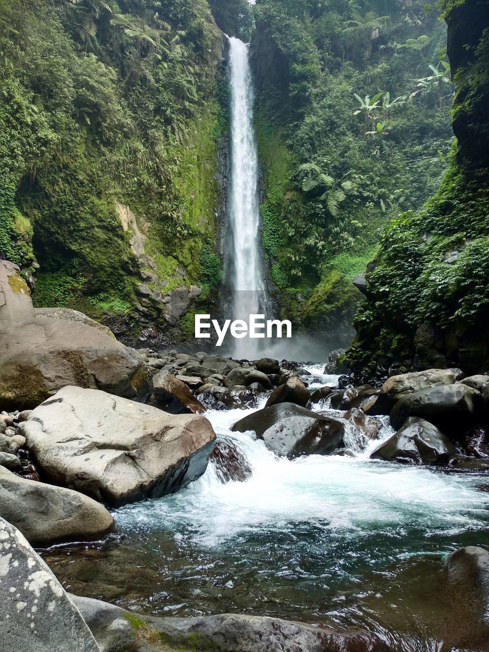 SCENIC VIEW OF WATERFALL