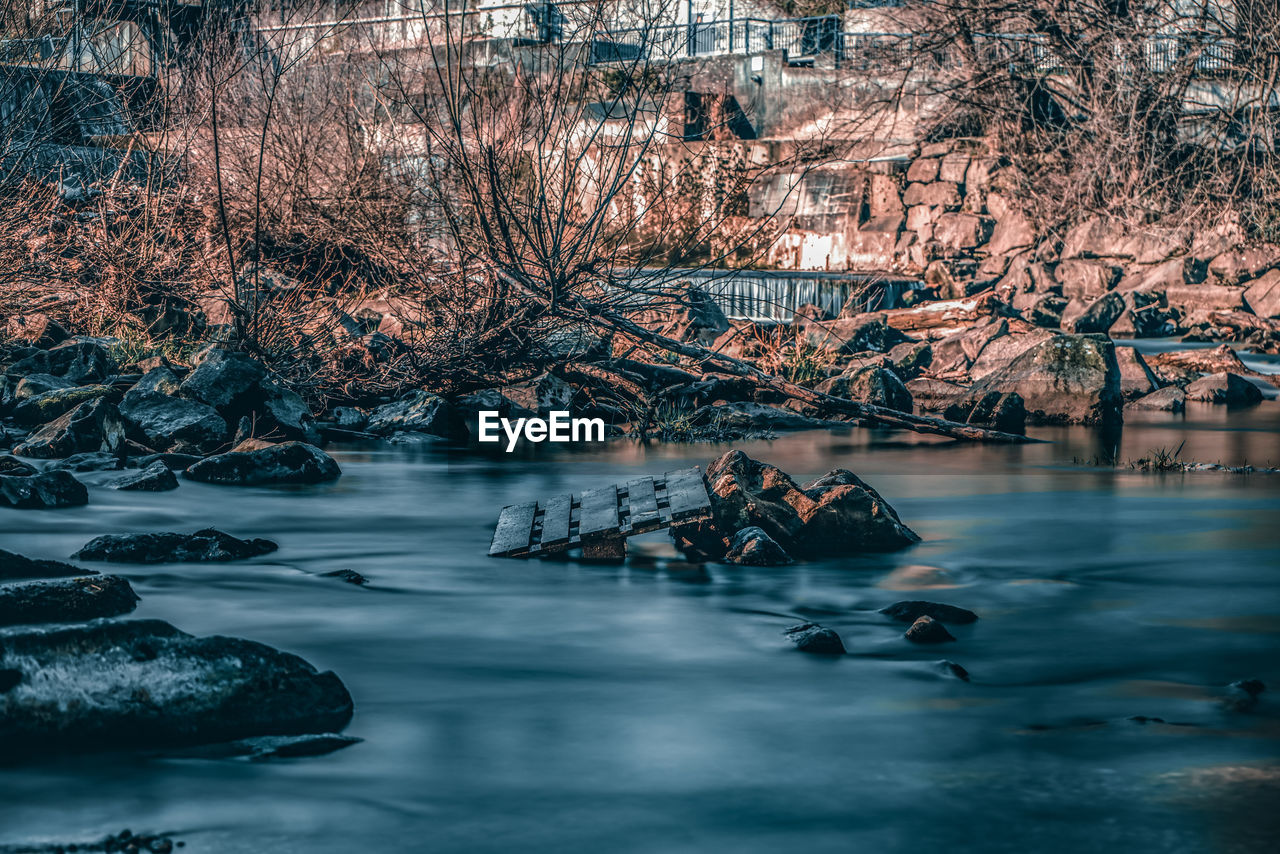 Bare trees by river during winter