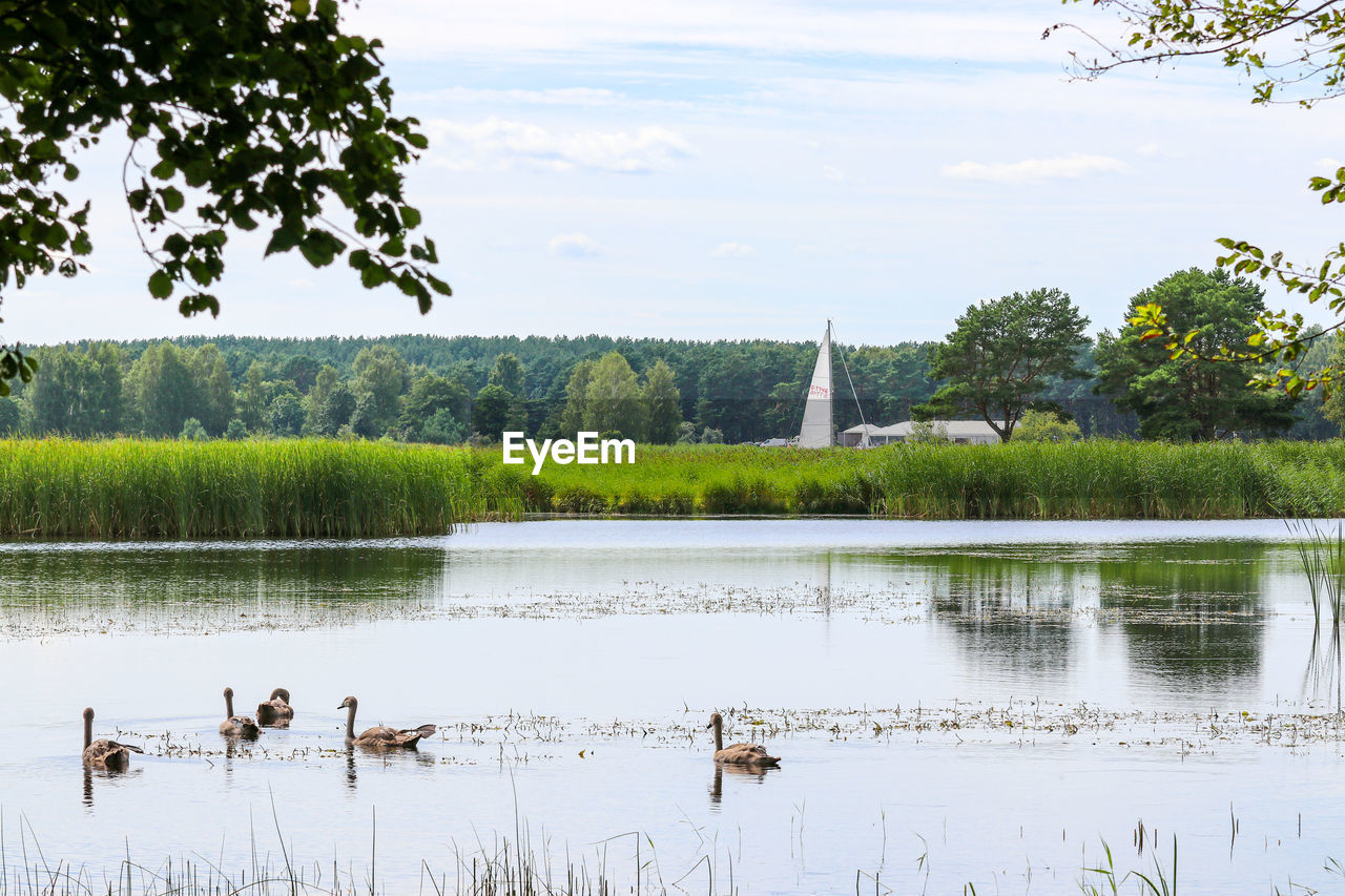 VIEW OF LAKE AGAINST SKY