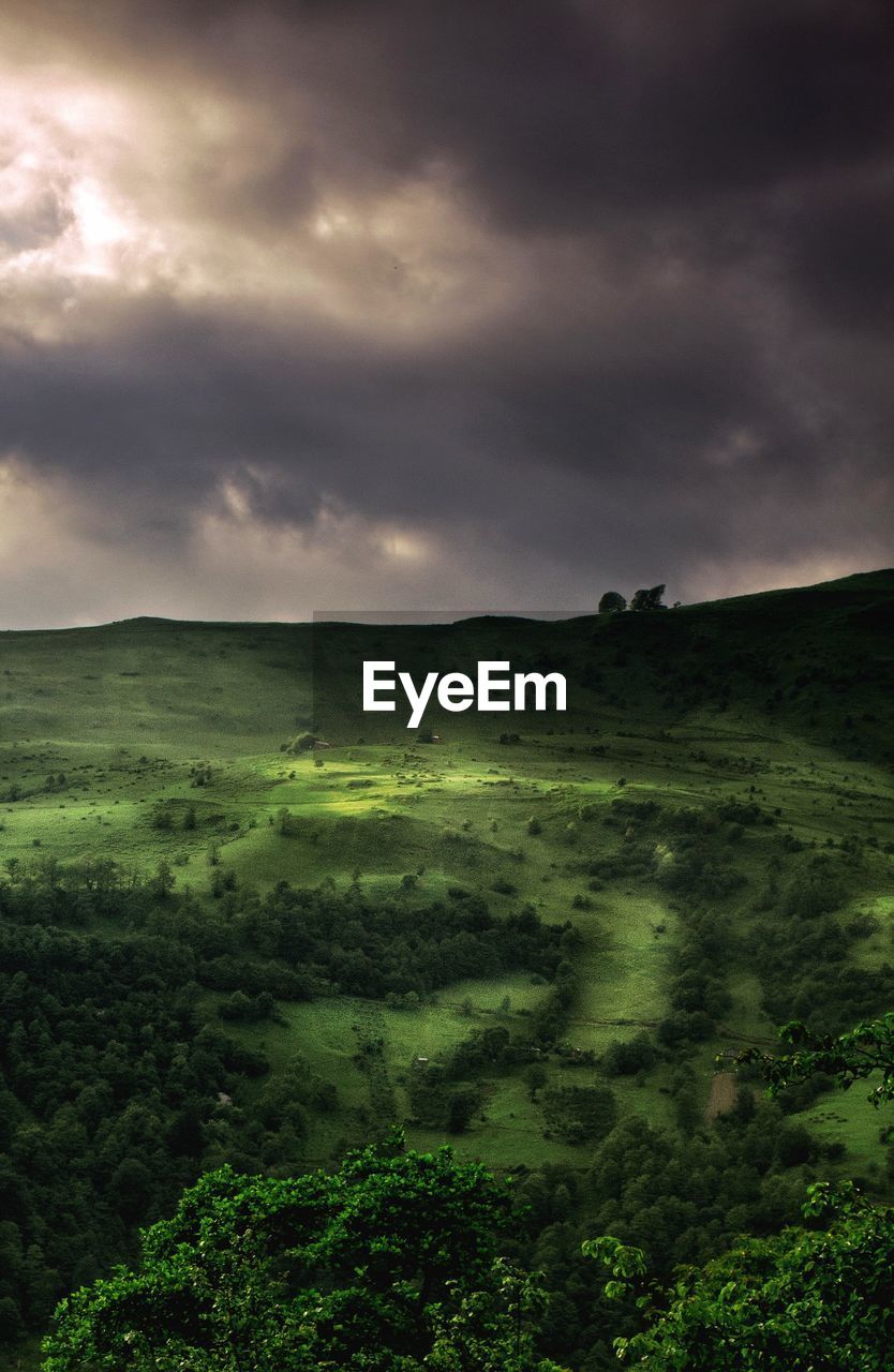 SCENIC VIEW OF GRASSY FIELD AGAINST SKY