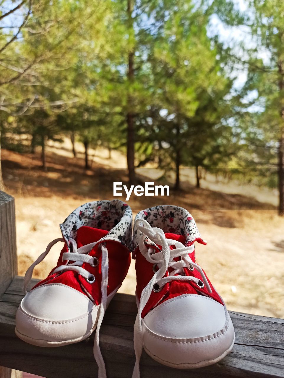 Close-up of shoes on plant