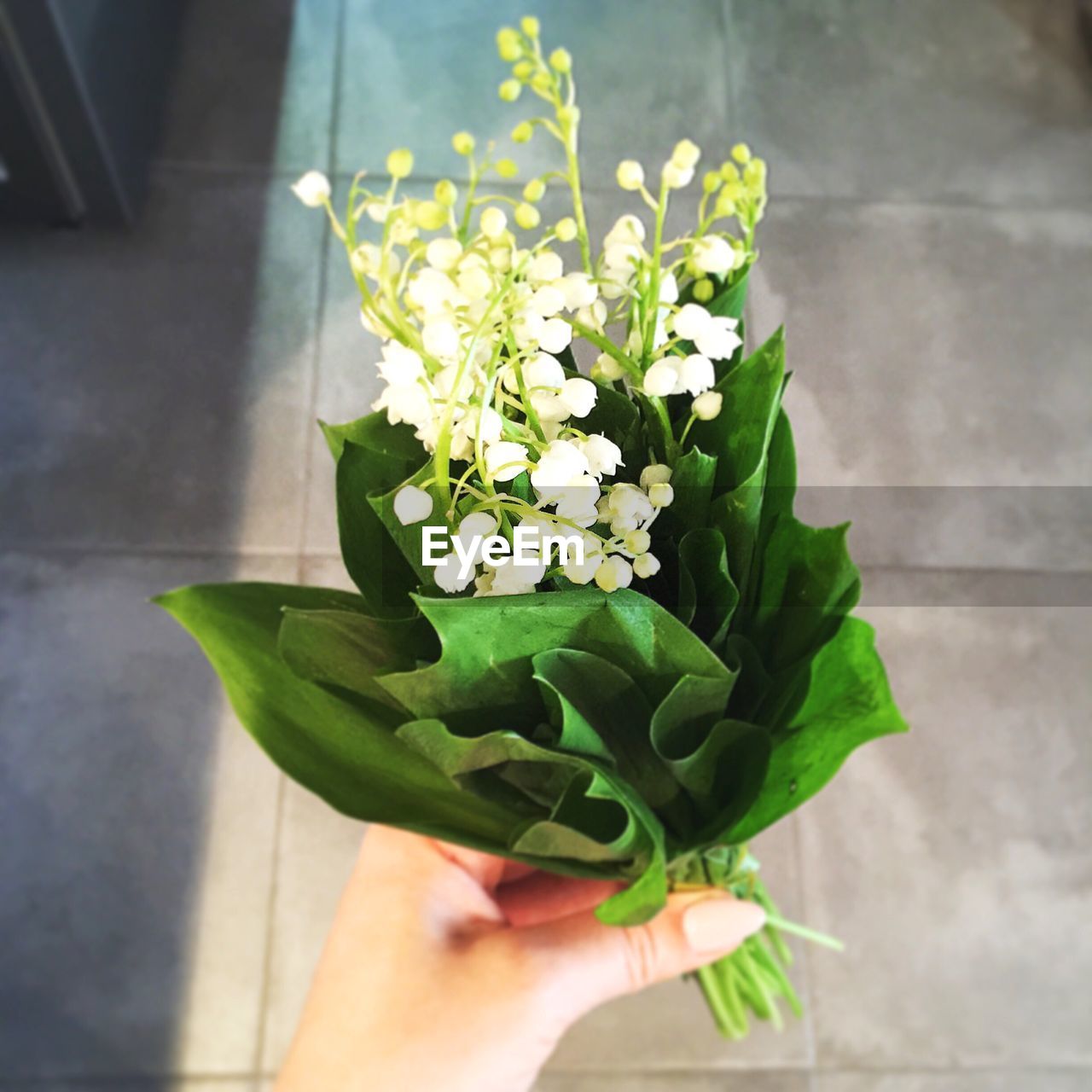 Cropped hand of person holding bouquet