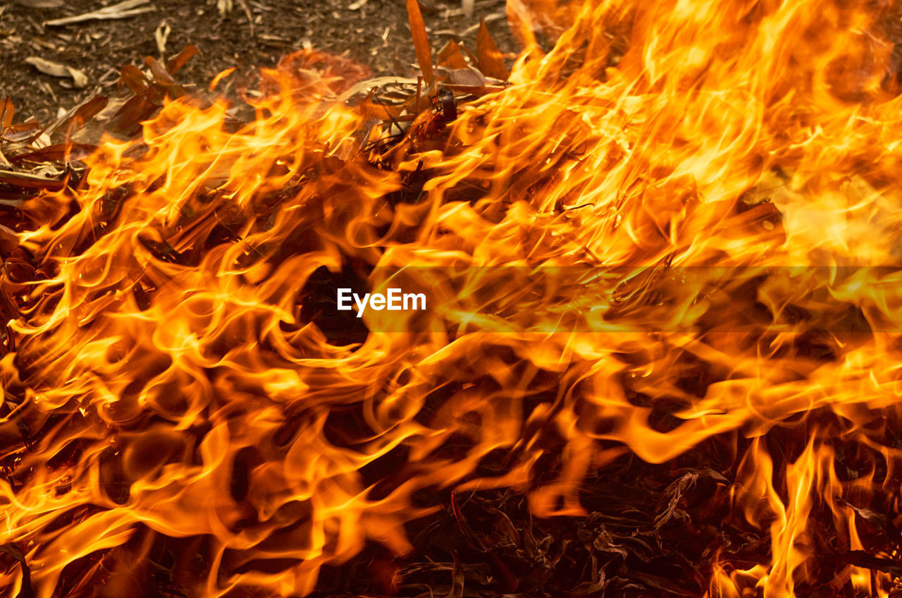 fire, burning, flame, heat, orange color, bonfire, no people, nature, campfire, font, close-up, motion, yellow, glowing, communication, sign, backgrounds, warning sign, full frame