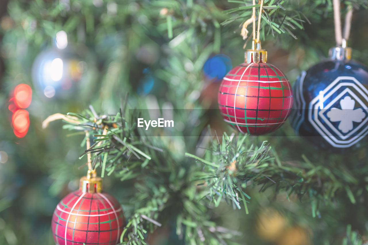 close-up of christmas decorations hanging on plant