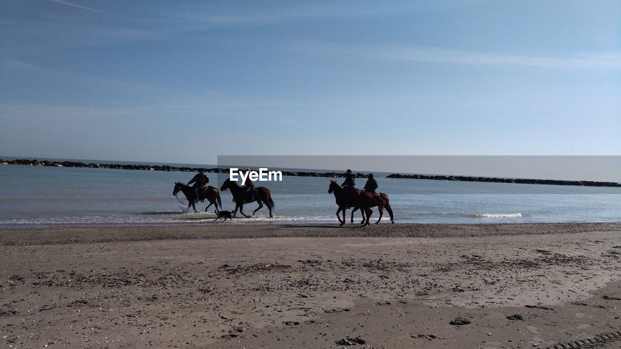 People riding horses on beach