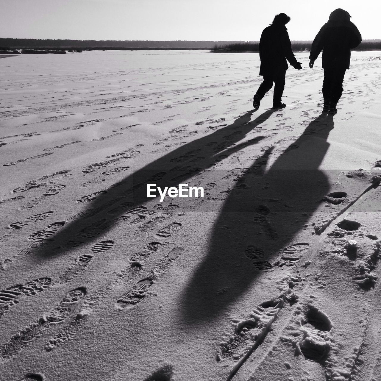 Rear view of couple walking on beach