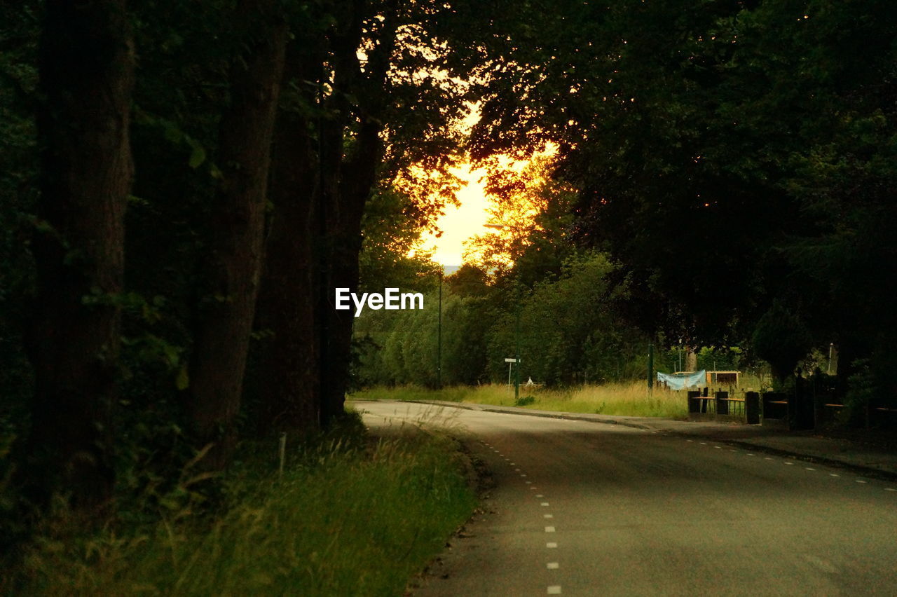 ROAD AMIDST TREES AGAINST SKY